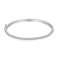 Bracciale Donna in Argento Cubic Zirconia BIAWR65